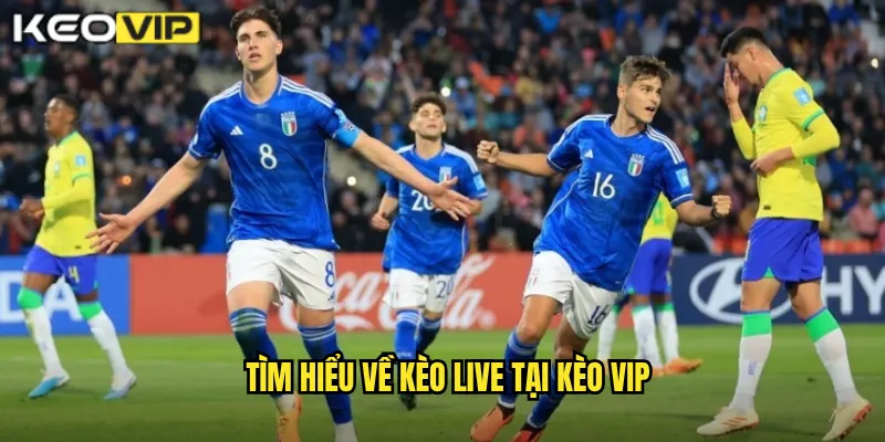 Tìm hiểu về kèo live tại Kèo vip
