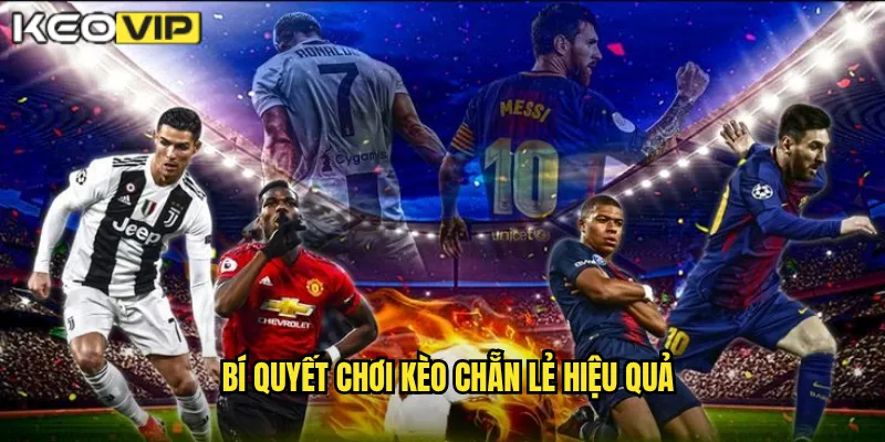 Kèo Chẵn Lẻ Kèo Vip - Đơn Giản Nhưng Hấp Dẫn Tỷ Lệ Cao 2 Tỷ lệ thưởng kèo chẵn lẻ Kèo vip