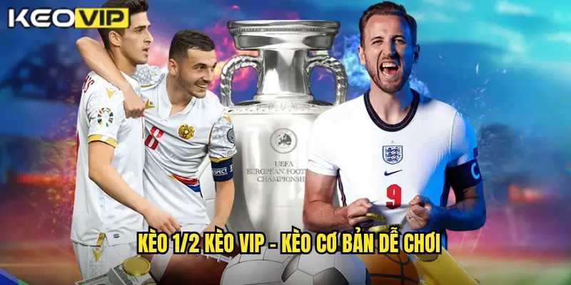Kèo 1/2 Kèo Vip - Kèo Cơ Bản Dễ Chơi